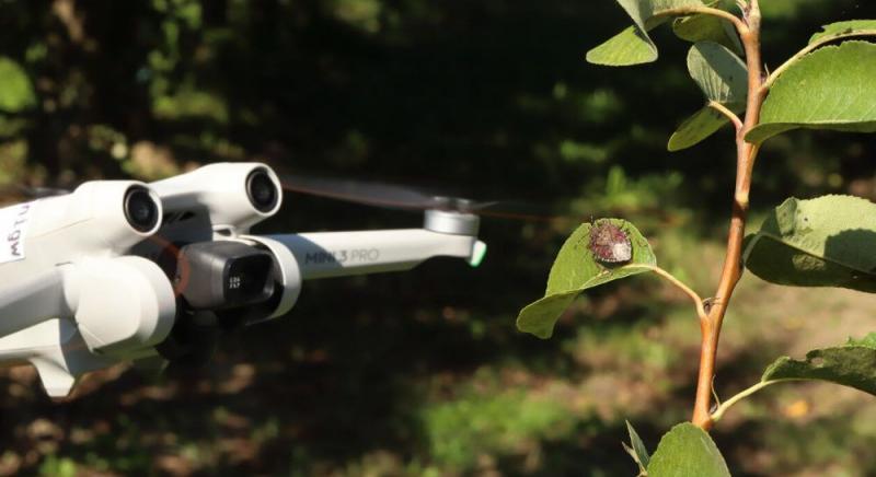 AI-vezérelt drón mentheti meg az agráriumot a kártevőktől