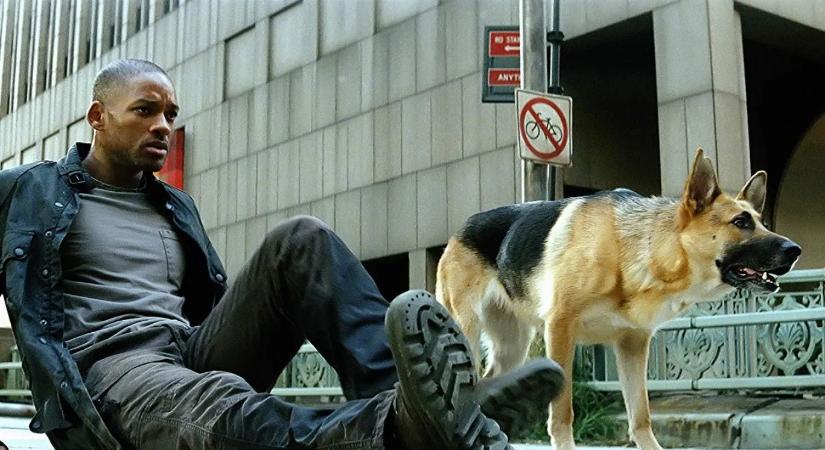 Will Smith zseniális színésznőnek tartotta Abbeyt, a Legenda vagyok című filmje kutyusát, akit a forgatás után szeretett volna örökbe fogadni