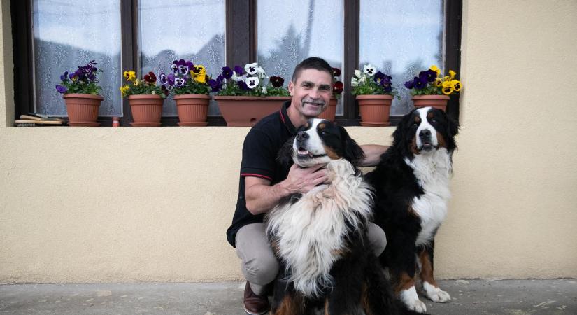 Kutyákon gyakotolta az apaságot a Viszkis: így döntötte el, vállaljanak-e gyermeket Rékával