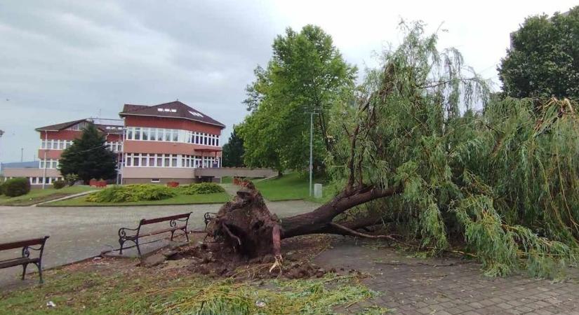 Végigsöpört a vihar Nógrádon, több mint 150 helyszínen pusztított (videó)