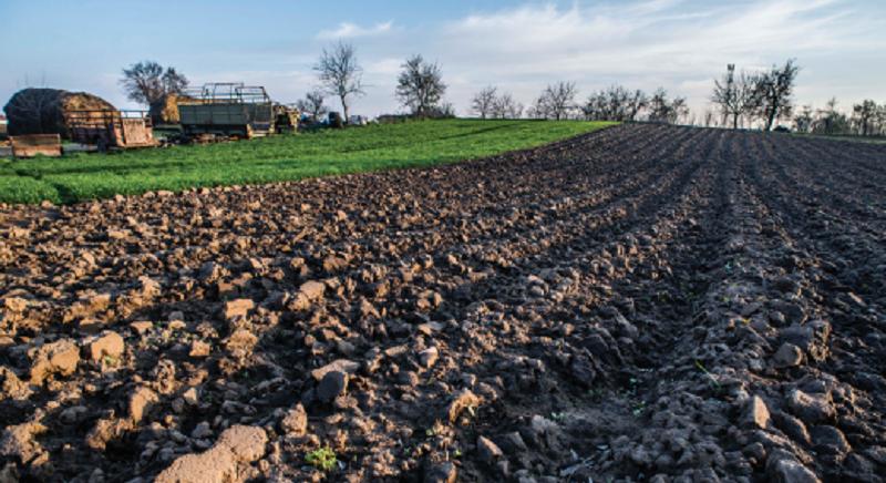 Hamarosan elérhetőek lesznek a vizsgálati eredmények a magyarországi talajok állapotáról