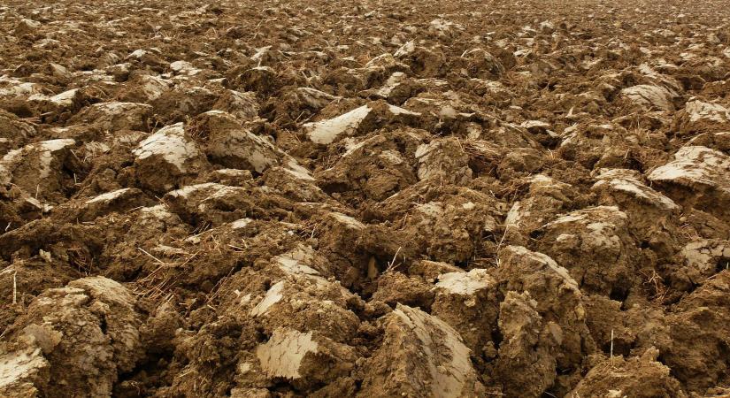 Hamarosan mindenki számára elérhetővé válnak a Magyarországi talajok állapotát szemléltető a vizsgálati eredmények