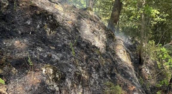 Ég az erdő Brassó közelében – Egy erdész megsérült