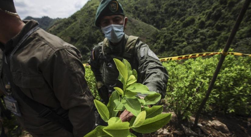 A Chiquita banánóriást több tízmilliárd dollárnyi kártérítésre ítélték kolumbiai terrorszervezet pénzeléséért