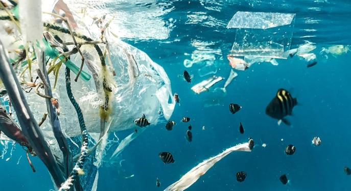 Műanyagot lebontó gombát azonosítottak az óceánban