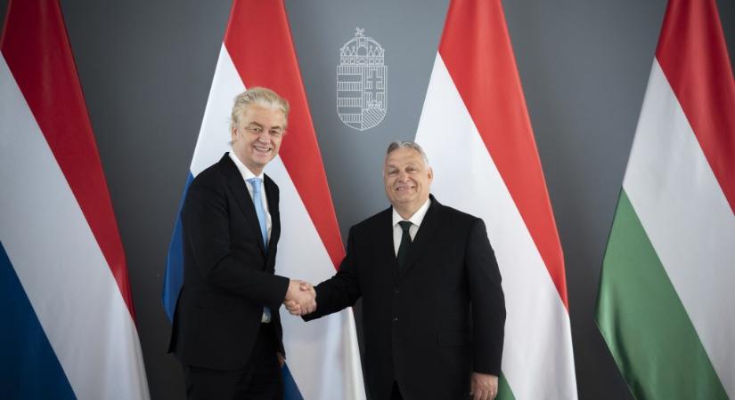 Szabó Zsolt és még egy magyar származású tagja lehet az új holland kormánynak
