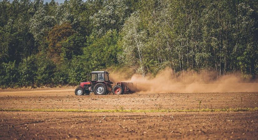 Jót tett a földeknek a kiadós csapadék