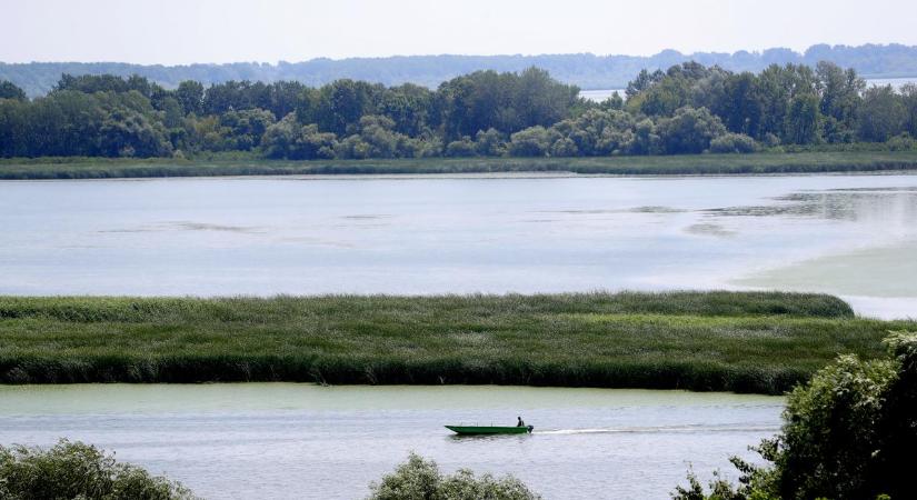 Elképesztő kincsekre bukkantak a Tisza-tónál: egy elhunyt tartotta a kezében őket – fotók