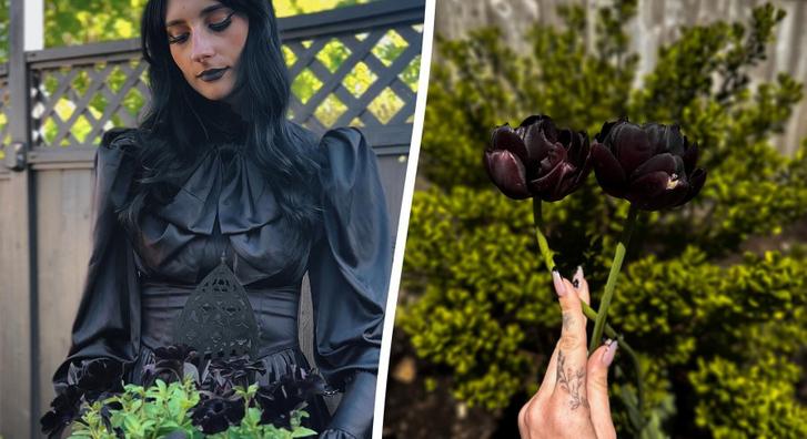 Wednesday Addams is megirigyelné annak a nőnek a kertjét, aki csak fekete virágokat hajlandó ültetni
