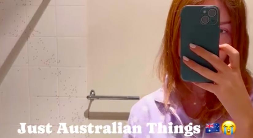 Amikor a turista lány benézett a hotel fürdőjébe, azonnal elindította a kameráját - Videó