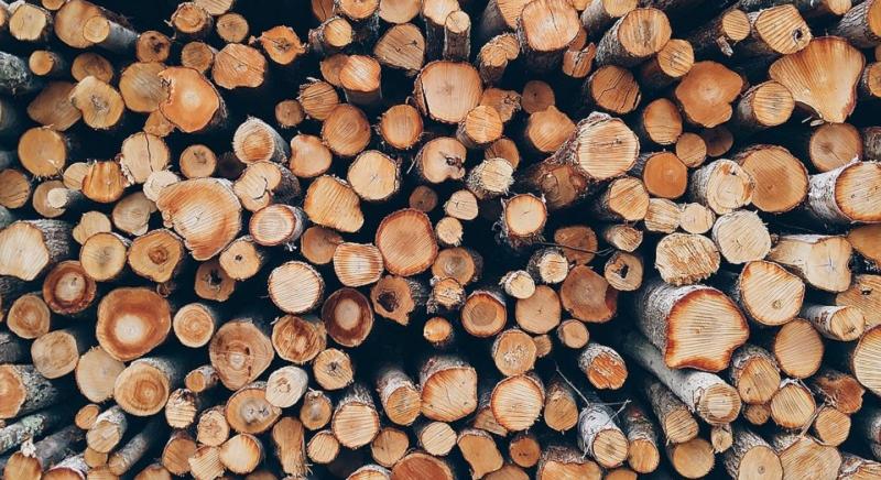 Már az erdőgazdálkodók korlátozásai is elérhetőek az EUTR keresőjében