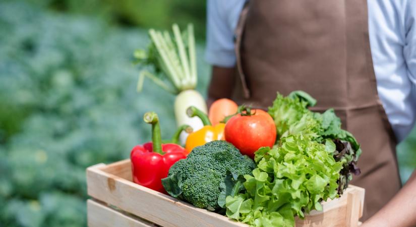 Egészségesebb-e a bio zöldség, gyümölcs a társaiknál? Magyar kutatók derítették ki