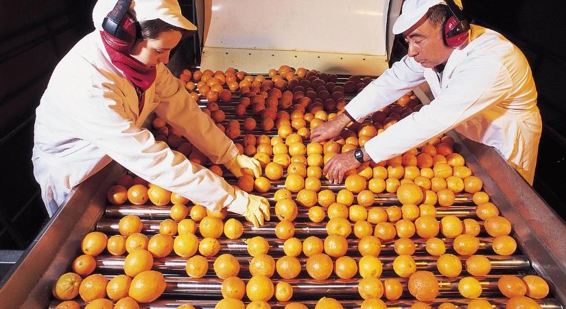 Drasztikusan nőtt a narancslé ára, beugrik helyette a mandarin