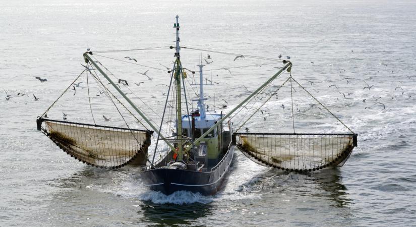 Újabb kormány döntött a görög után a halászati tilalom mellett