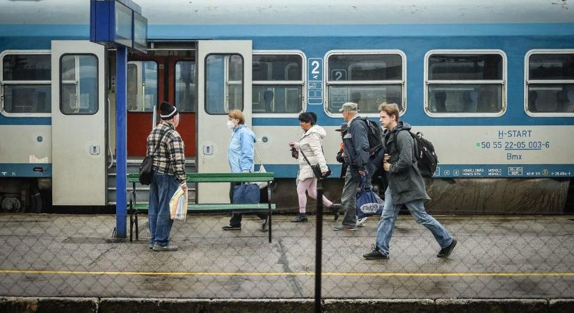Sínre dőlt egy fa: Állnak a vonatok a Miskolc-Hidasnémeti vonalon