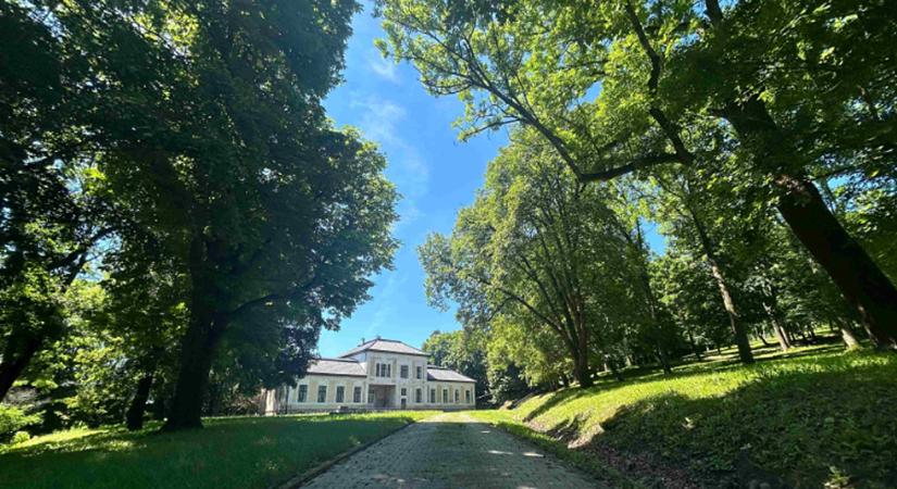 Családi ház áráért eladó egy 19. századi magyar kastély