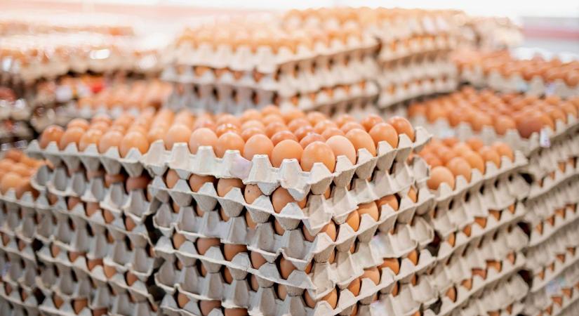 Világrekord-kísérlet lesz Debrecenben, 75 ezer tojásból készül rántotta
