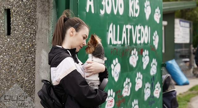 Elkészült Magyarország legteljesebb állatvédelmi tananyaga és képzési sorozata jogalkalmazóknak