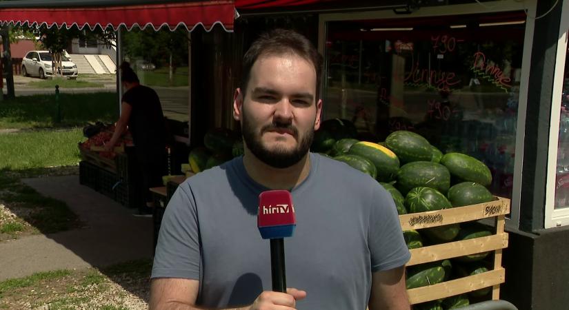 Egyre több helyen találkozhatnak a vásárlók magyar görögdinnyével a boltokban  videó