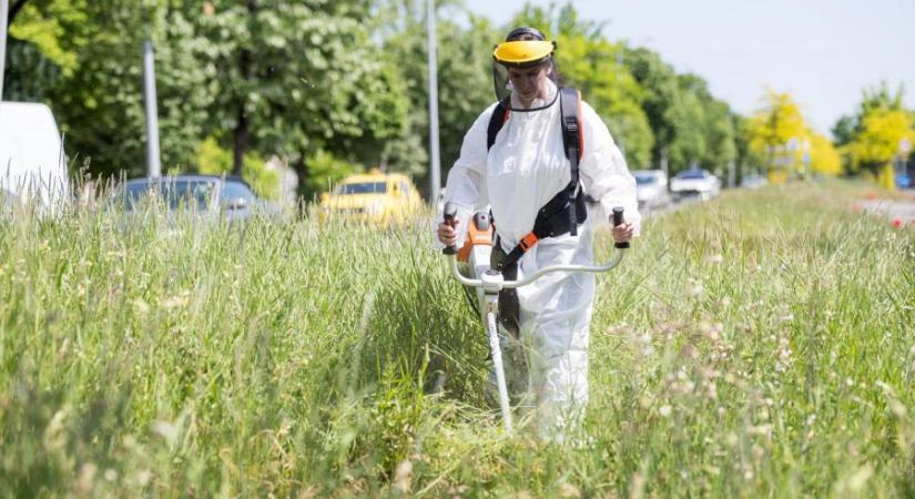 Magyarország nemmel szavazott az EU természet-helyreállítási rendeletére, de így is elfogadták