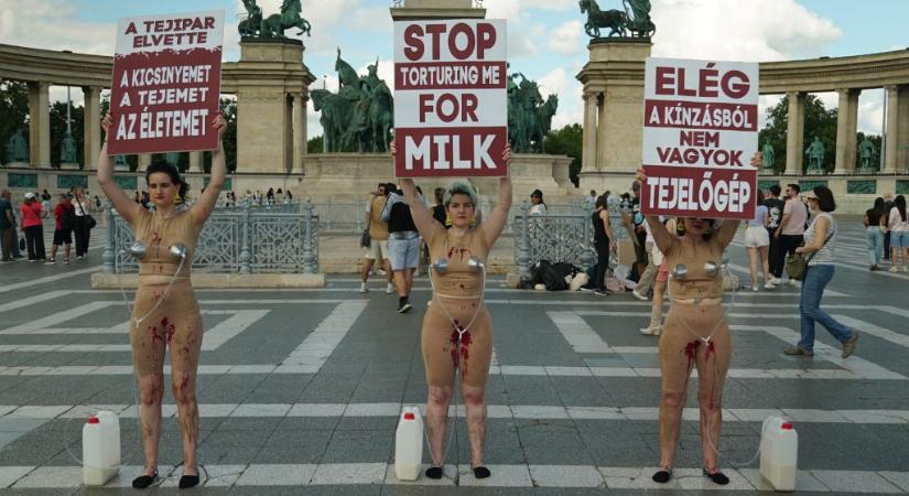 „Volt idő, amikor állati testrészeket ettem” – vegán aktivisták akcióztak a tejfogyasztás ellen