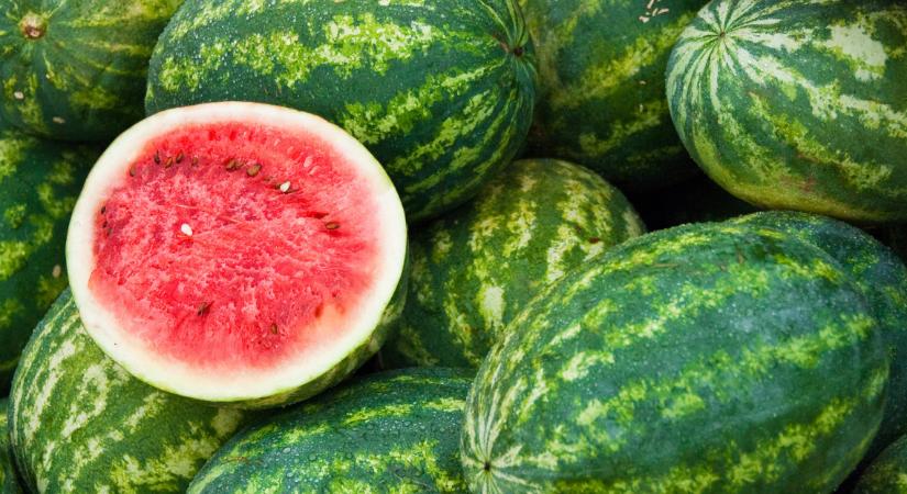 Nem kell sokáig várni a mézédes magyar görögdinnyére: mutatjuk, mikor érkezik meg az áruházakba