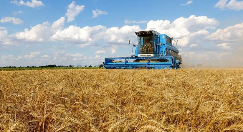 Ukrajnában hamarabb kezdődik az őszi gabona betakarítása