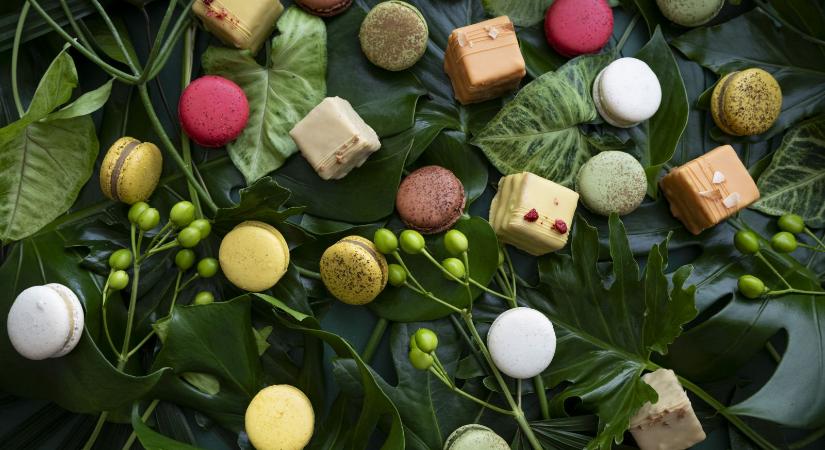 A világ legjobbjai közé került Budapest egyik kedvenc macaron manufaktúrája