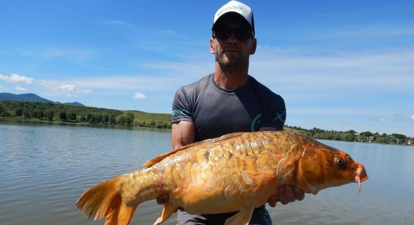 Kifogták a nagy halakat a Békés vármegyei rendőrök