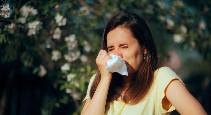 Hevesebb allergiás reakcióra kell számítani