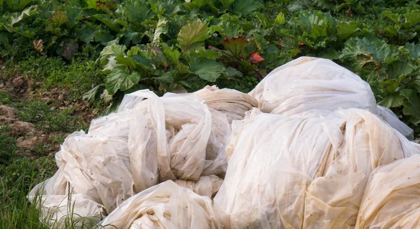 Rengeteg növényvédő szerrel szennyezett csomagolót gyűjtöttek be itthon