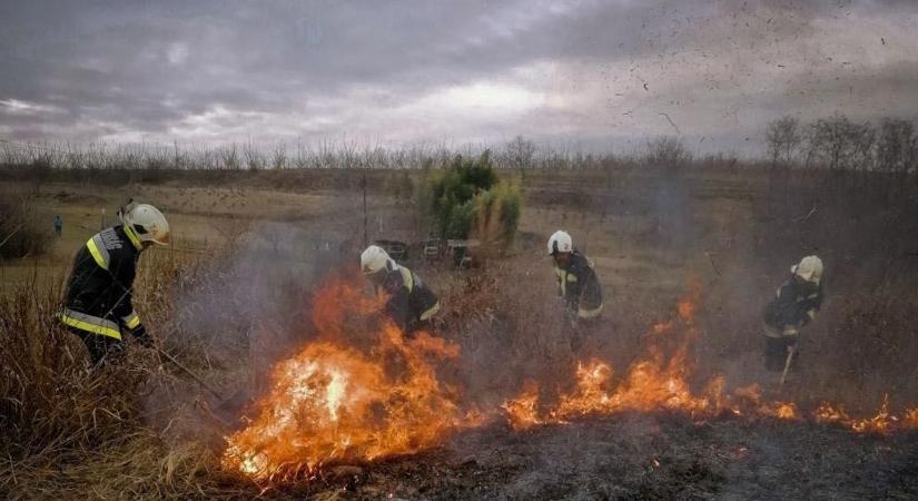 Harminc hektáron égett foltokban a tarló Tolnánál