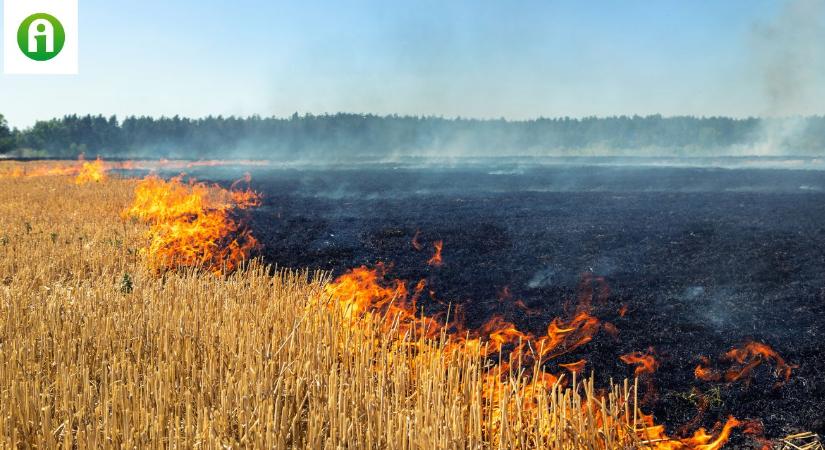 30 hektáros területen gyulladt ki a tarló