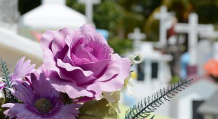 A Biokom idén is sorsolással dönt a halottak napi virágárusító helyekről