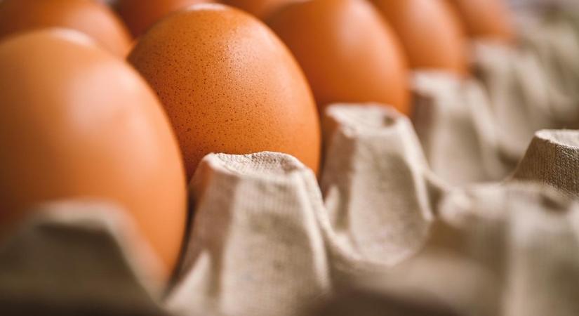 A tojás csomagolóhelyi ára 19 százalékkal alacsonyabb az egy évvel korábbinál
