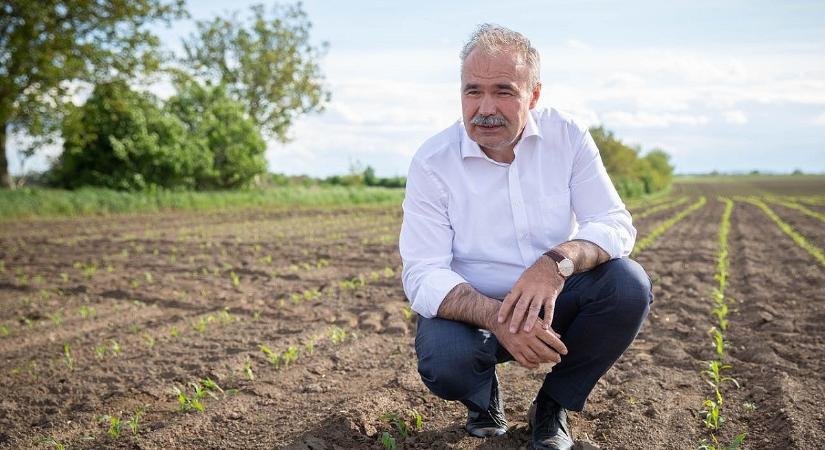 Óriási pénzeket osztanak szét a mezőgazdaságban, a nagyok járhatnak jól