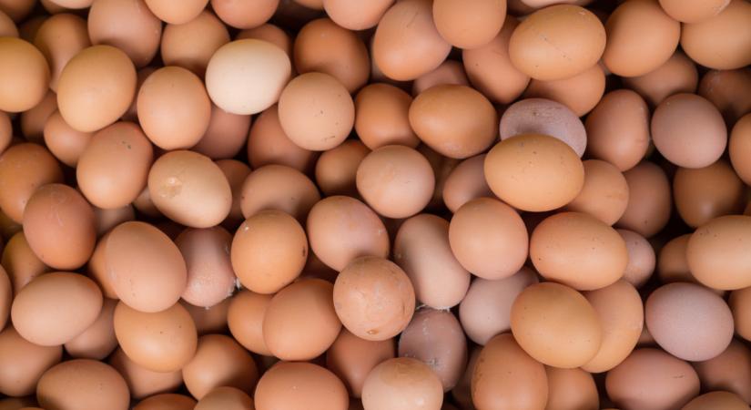 Most jött a hír: súlyos döntést hoztak az EU-ba áramló ukrán tojásokról