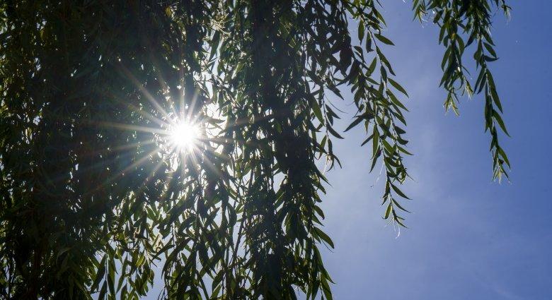 Fokozódó kánikulára figyelmeztetnek a meteorológusok