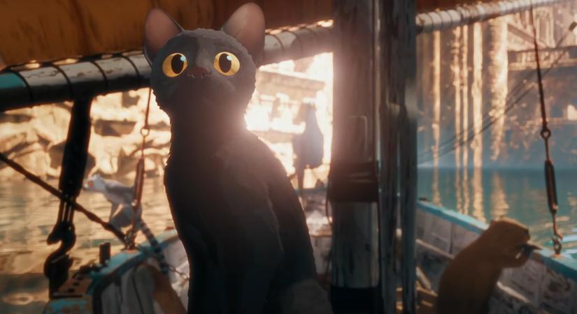Az utóbbi évek egyik legjobb posztapokaliptikus filmjének tartják ezt az animációs mozit, aminek a főszereplője egy macska, és még csak dialógus sincs benne