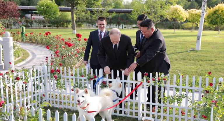 Putyin kiskutyákat kapott ajándékba Kim Dzsonguntól