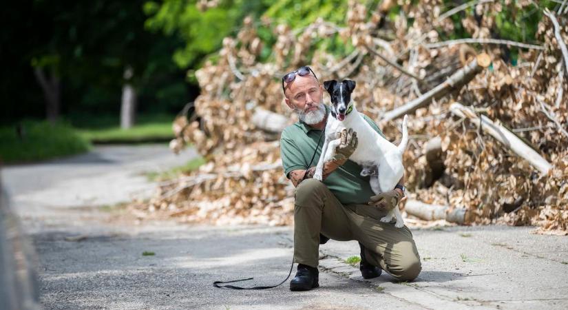 Enzo a bombakereső kutyák Ferrarija – A budapesti pápalátogatáson is a kis foxi szimatolt robbanószer után