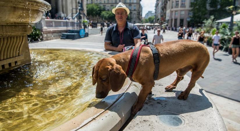 Meghosszabbította a vörös kódot a belügy, ez következik most