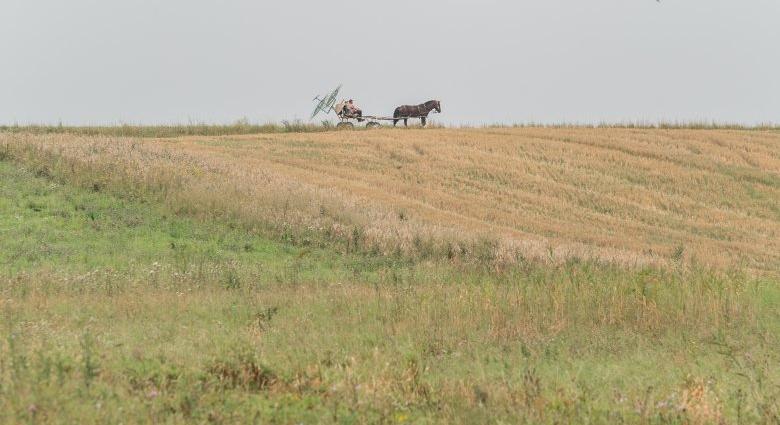 Mezőgazdaság: a szélsőségek ellenére rég volt ilyen kedvező az időjárás