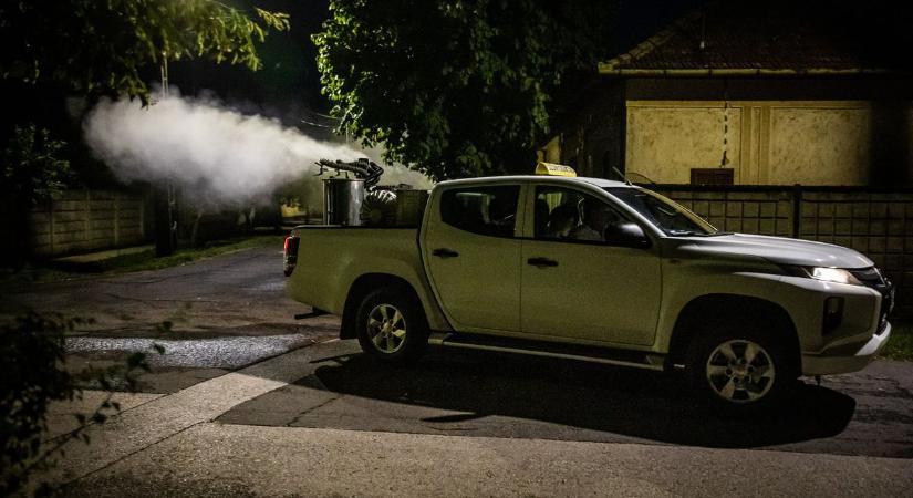 Szúnyogok szállták meg Komáromot, az önkormányzat is gyérít
