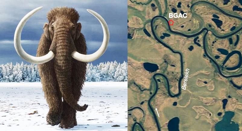Emberek hozhatták létre a kelet-szibériai mamuttemetőt