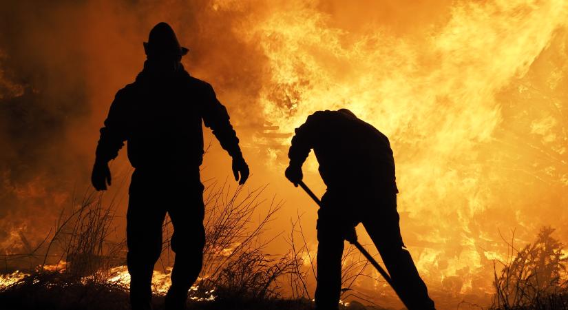 Nem lehet tüzet gyújtani a baranyai erdőkben