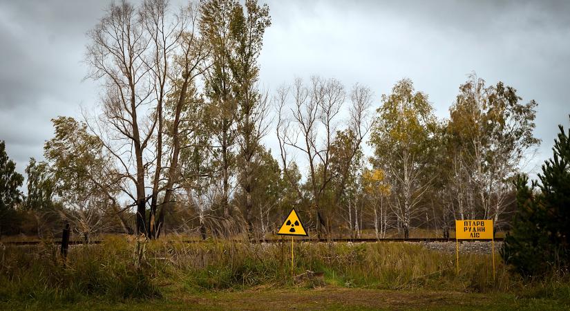 A csernobili termőföldek ismét biztonságosak, lehet rajtuk növényt termeszteni