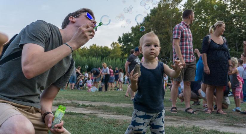 Hétvégi programajánló: múzeumok éjszakája, bababörze, levendulaszüret, rockfesztivál