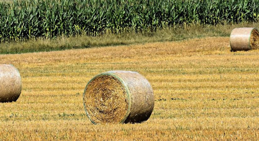 Reálértéken nagyot estek a termőföldek tavalyhoz képest