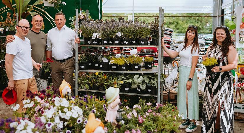 270 növényt ajánlott fel a városnak egy debreceni kertészet